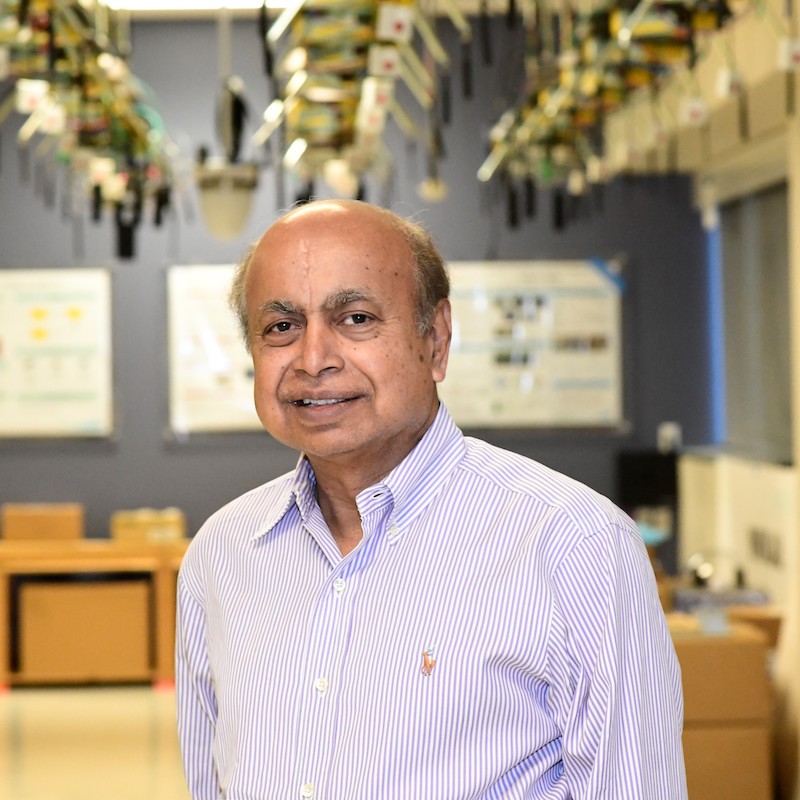 Dipankar Raychaudhuri