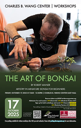 The Art of Bonsai: Artistry in Miniature poster