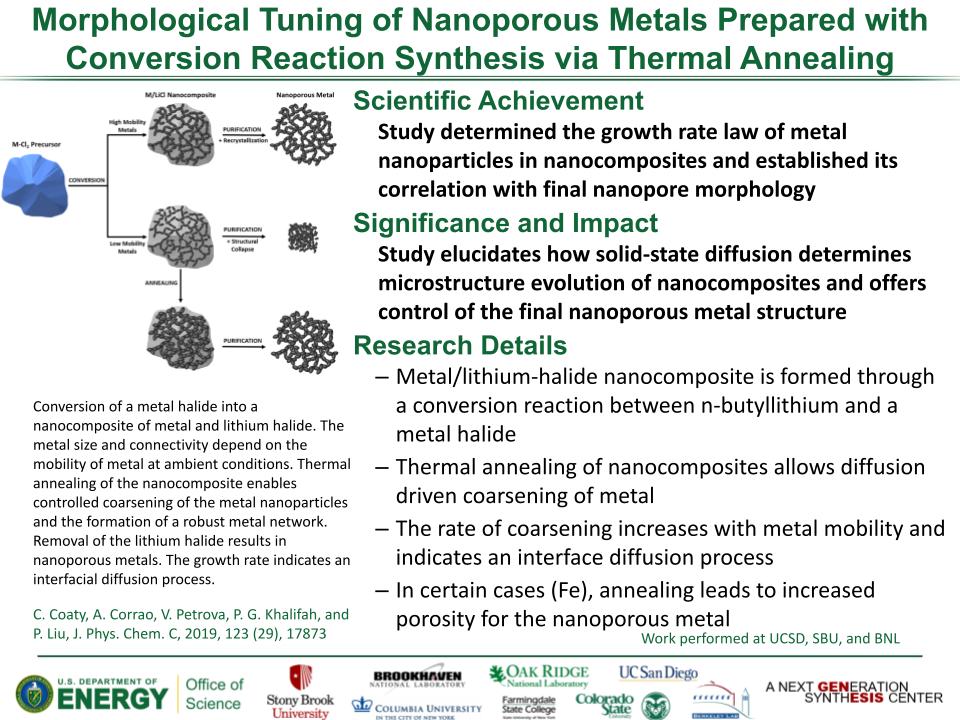 Coaty-Morphological Tuning 