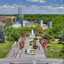 S-BOLD: Online Learning Development