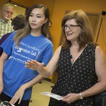 Summer Online Teaching Initiative